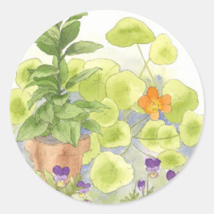 Bodemboom Nasturtium Flower Waterverf Herb. Ronde Sticker
