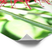 Bodemborstelventilator Rode tropische Floral Poster (Hoek)