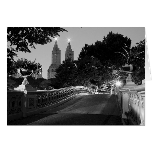 Bodembrug in Dusk, Central Park (Voorkant Horizontaal)
