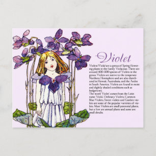 Bodemcollector  Violet Girl Plant Info Briefkaart
