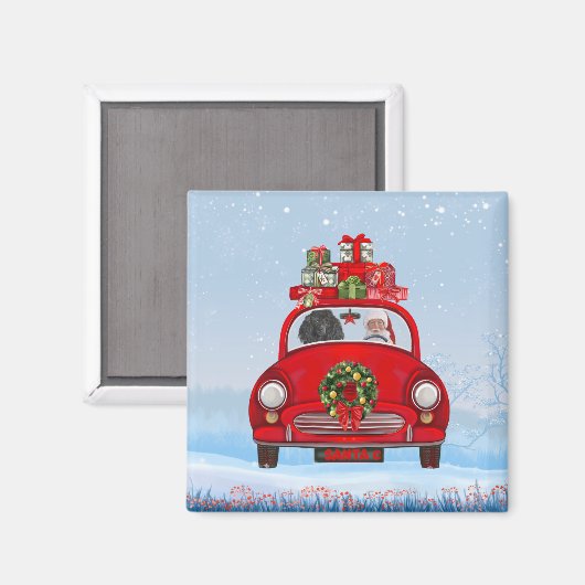 Bodemhond in auto met kerstman magneet (Voorkant / Achterkant)