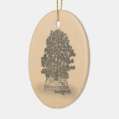 Bodemkeramisch Ornament (Links)