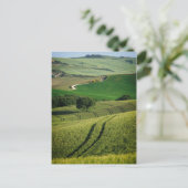 Bodemlijnen in het groene briefkaart van Toscane (Staand voorkant)