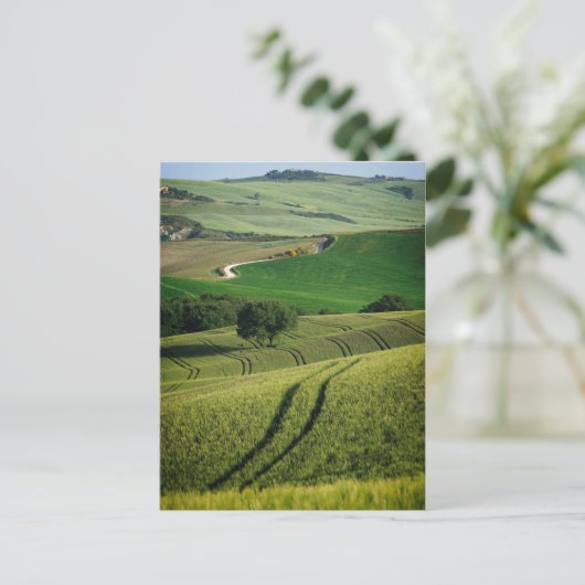 Bodemlijnen in het groene briefkaart van Toscane (Staand voorkant)