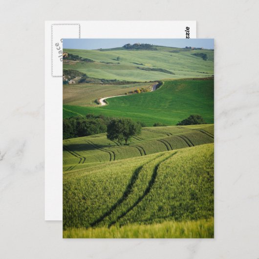 Bodemlijnen in het groene briefkaart van Toscane (Voorkant / Achterkant)