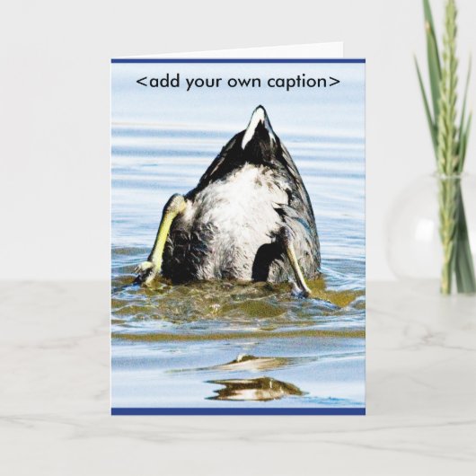 BODEMS OP KAART (Voorkant)