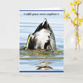 BODEMS OP KAART (Gele Bloem)