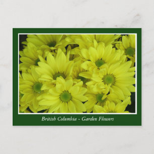 Bodemtuinbloemen Briefkaart