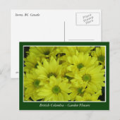 Bodemtuinbloemen Briefkaart (Voorkant / Achterkant)