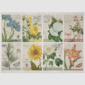 bodemverdamping tissuepapier (Voorkant)