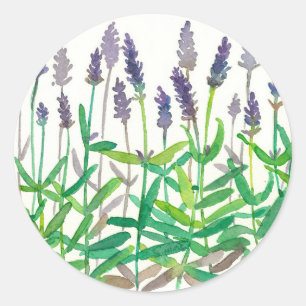 Bodemvloeren Botanische Waterverf Herbs Art Ronde Sticker