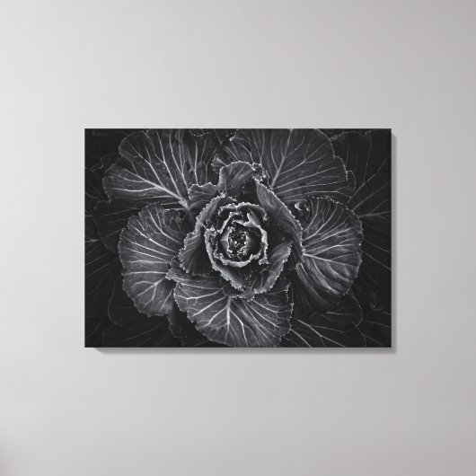 Bodemvloeren in zwart-wit nr. 108 canvas afdruk (Voorkant)