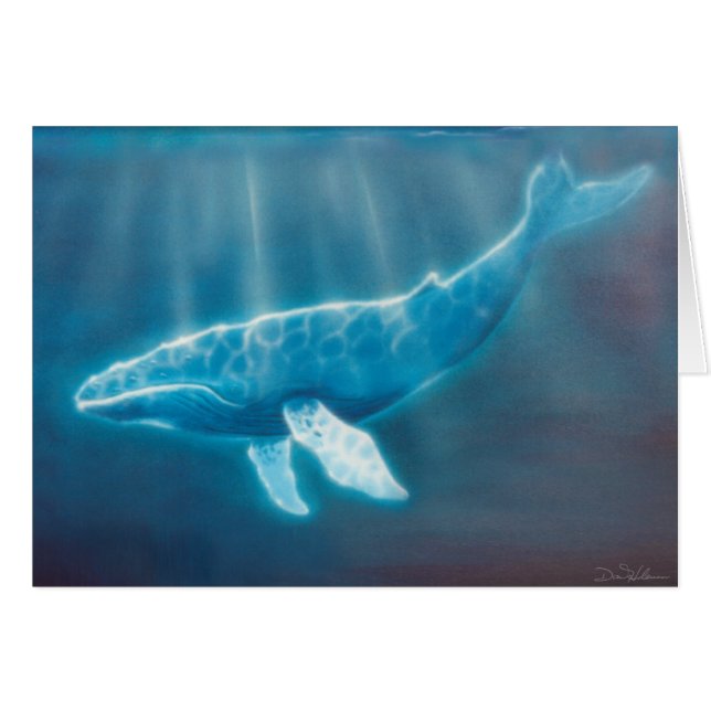 Bodemwalvis (Voorkant Horizontaal)