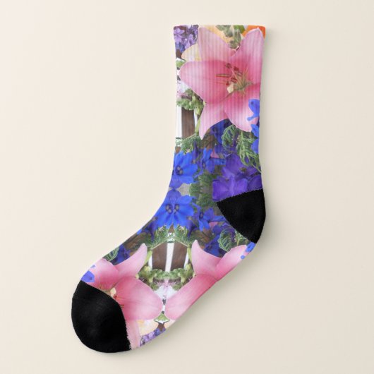 Bodichon (Gauche - extérieur)