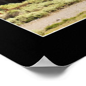 Bodie, Californië Poster (Hoek)