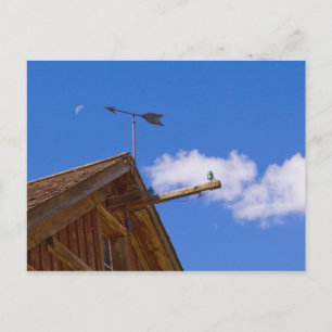 Bodie Ghost Town wijst de weg naar het Briefkaart