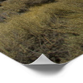 Bodie Main Street Poster (Hoek)