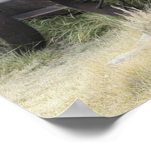 Bodie State Historic Park, CA Poster (Hoek)