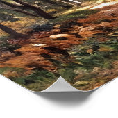 Bodmer Oak Poster (Hoek)