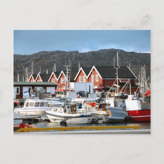 Bodo, haven briefkaart (Voorkant)