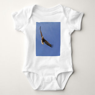 Body Aigle chauve