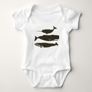 Body Baleine antique Vie marine