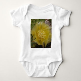 Body Cactus jaune en fleurs