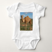 Body Camel (Devant)