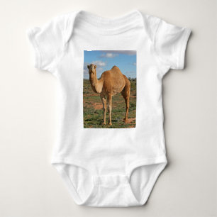 Body Camel