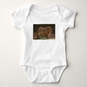 Body Capybara