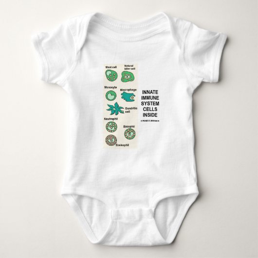 Body Cellules innées de système immunitaire à (Devant)