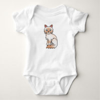 Chat Birman / Ragdoll Tabby Rouge