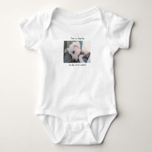 Body Chaud Chaud Chien Blanc Portant Un Bab Écharpe Ver