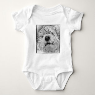 Body Chien Coton de Tuléar