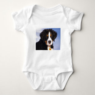 Body Chien de montagne mignon bernois