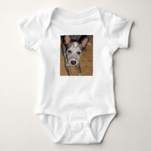 Body chiot Australian_Cattle_Dog_bleu