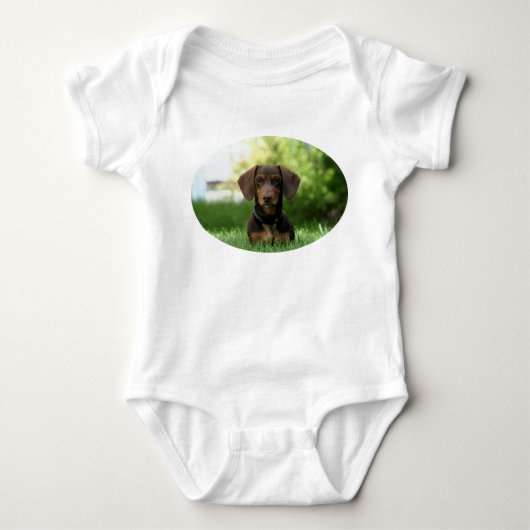 Body Chiot Brown Dachshund (Devant)