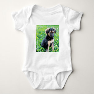 Body Chiot de berger allemand