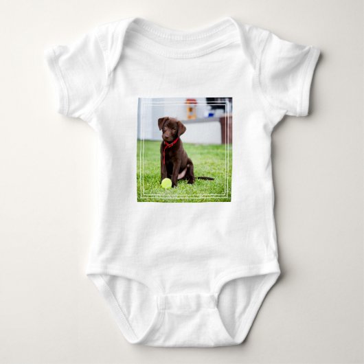 Body Chocolat Labrador Puppy Avec Tennis Ball (Devant)