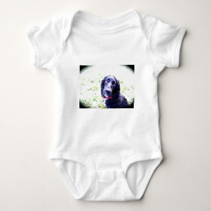 Body Cocker Spaniel
