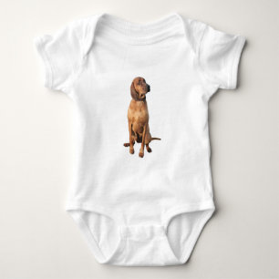 Body Coonhound Redbone (A)