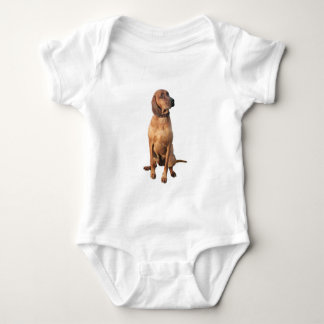 Body Coonhound Redbone (A)