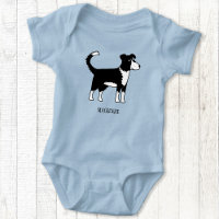 Cute Welsh Border Collie Chien