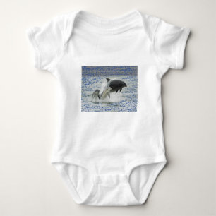 Body Dauphins