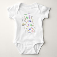 Diagramme détaillé de la constitution chimique de