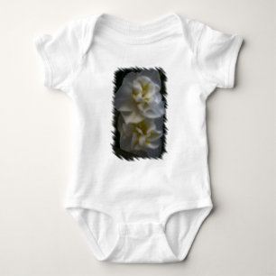 Body Dreamy Narcissus Daffodils