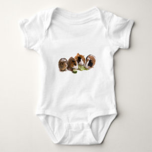 Body four guinea pigs who eat,