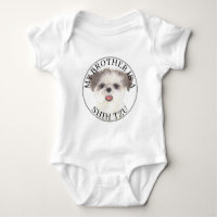 Frère Shih Tzu brun et blanc