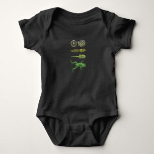 Body Grenouille Tadpole Métamorphose Cycle de vie Biol
