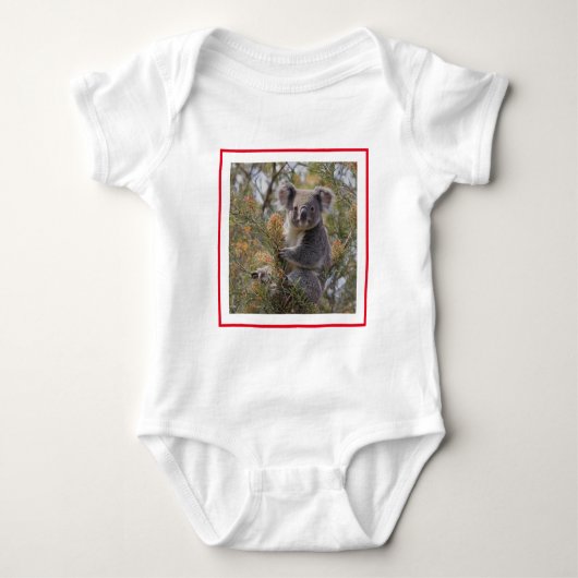 Body Grevillea Koala Bear, (Devant)